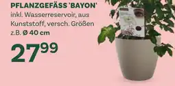 Bellaflora Pflanzgefäss bayon Angebot