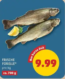 PENNY Frische forelle Angebot