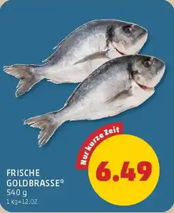 PENNY Frische goldbrasse Angebot