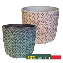 BayWa Pflanztopf Pineapple 43575698 BayWa Angebot