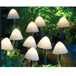 BayWa Solar Pilze 43296013 BayWa Angebot