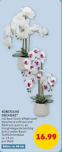PENNY Künstliche orchidee Angebot