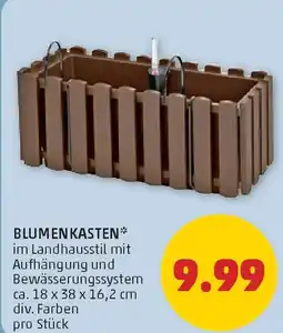 PENNY Blumenkasten Angebot