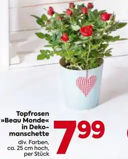 Billa Topfrosen beau monde in deko- manschette Angebot