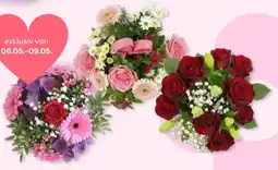 Bellaflora Schnittblumen Angebot