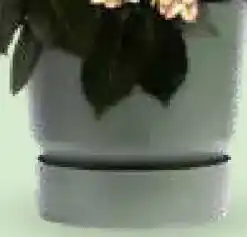Bellaflora Elho pflanztopf greenville mit untersetzer Angebot