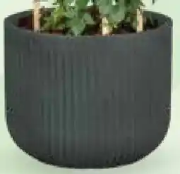Bellaflora Rundtopf Auckland Angebot