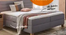 XXXLutz CarryHome Boxbett Angebot