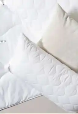 XXXLutz Sleeptex Polster Katharina Angebot