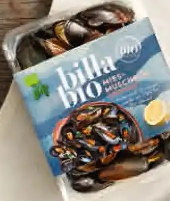 Billa Bio Bio-Miesmuscheln
