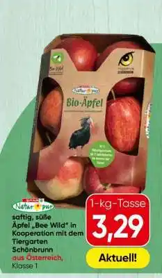 Spar BIO ÄPFEL Angebot