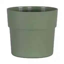 Dehner Pflanztopf 'Liv', grün Dehner Angebot