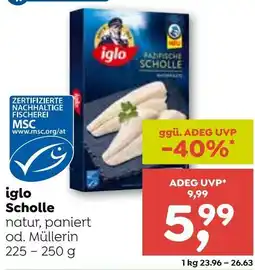 ADEG Iglo scholle Angebot