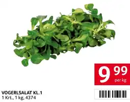 Transgourmet Vogerlsalat kl.1 Angebot
