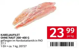 Transgourmet Kabeljaufilet ohne haut Angebot