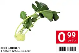 Transgourmet Kohlrabi kl.1 Angebot