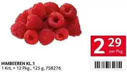 Transgourmet Himbeeren kl.1 Angebot