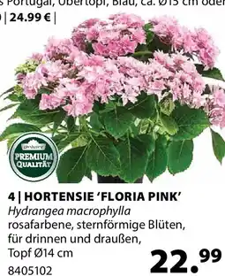 Dehner 4 hortensie 'floria pink Angebot