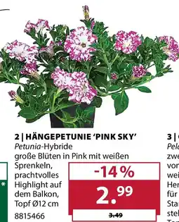 Dehner 2 hängepetunie 'pink sky' Angebot