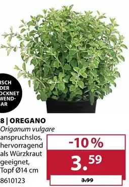 Dehner 8 oregano Angebot