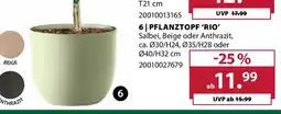Dehner 6 pflanztopf 'rio' Angebot