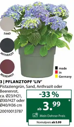 Dehner 3 pflanztopf 'liv' Angebot