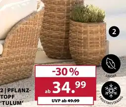 Dehner 2 pflanz- topf tulum Angebot