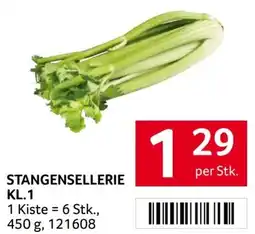 Transgourmet Stangensellerie Kl. 1 Angebot