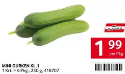 Transgourmet Mini gurken kl.1 Angebot
