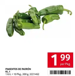 Transgourmet Pimientos de padrón kl.1 Angebot