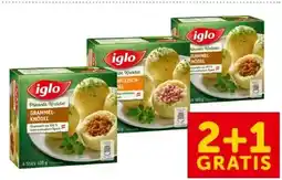 Interspar Iglo Pikante Knödel Angebot
