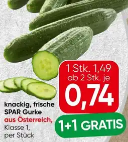 Spar Spar Gurken Angebot