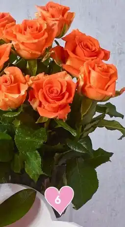 Spar Rosen Angebot