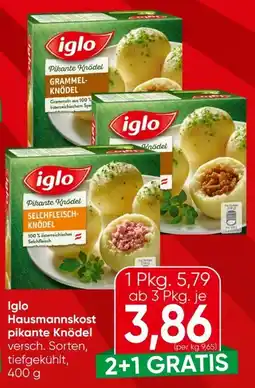 Eurospar Iglo Hausmannskost-Knödel Angebot