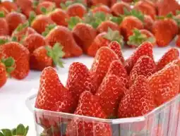 Eurospar Spar Erdbeeren Angebot