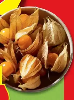 Hofer Hofer Marktplatz Physalis Angebot