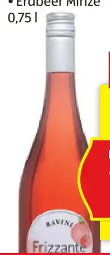 Hofer Ravini Frizzante Angebot