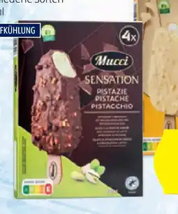 Hofer Mucci Stieleis Sensation Black Angebot