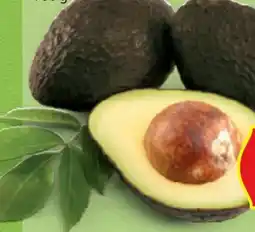 Hofer Hofer Marktplatz Avocados Angebot
