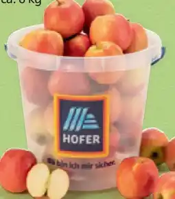 Hofer Hofer Marktplatz Äpfel Angebot