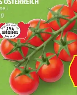 Hofer Hofer Marktplatz Midi-Rispentomaten Angebot