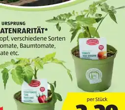 Hofer Zurück zum Ursprung Bio-Tomatenrarität Angebot