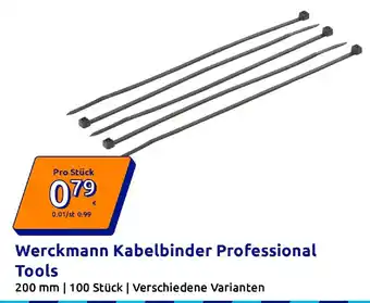 Action Werckmann Kabelbinder Professional Tools Angebot
