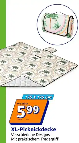 Action XL-Picknickdecke Angebot