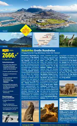 Lidl Reisen Südafrika Große Rundreise Angebot