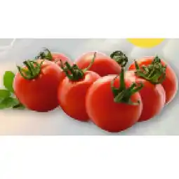 T&G Cherrytomaten T&G Angebot