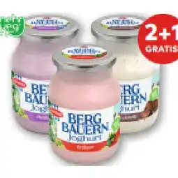 T&G Schärdinger Bergbauern Joghurt versch. Sorten T&G Angebot