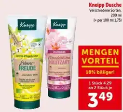 Interspar Kneipp Dusche Angebot