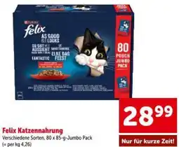 Interspar Felix Katzennahrung Angebot
