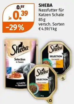 Müller Sheba Nassfutter für Katzen Schale Angebot